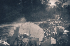 cyanotype-pirjolempea-10