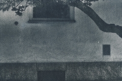 cyanotype-pirjolempea-12