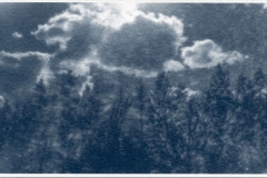 cyanotype-pirjolempea-3