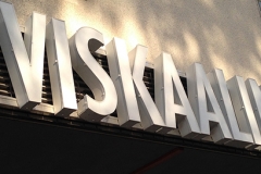 Viskaalin